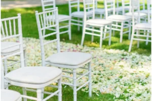 Sewa Kursi Tiffany Depok – Elegan, Murah & Terbaik untuk Acara Spesial